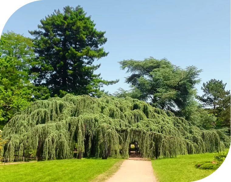 Artopia collectivités et entreprises parcs et jardins